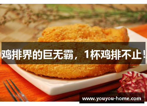 鸡排界的巨无霸，1杯鸡排不止！